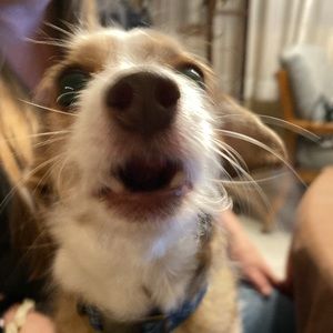 Meet your Posher, Canned_water